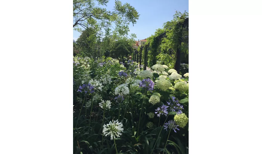 Scorcio dei Giardini Reali di Venezia