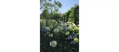 Scorcio dei Giardini Reali di Venezia