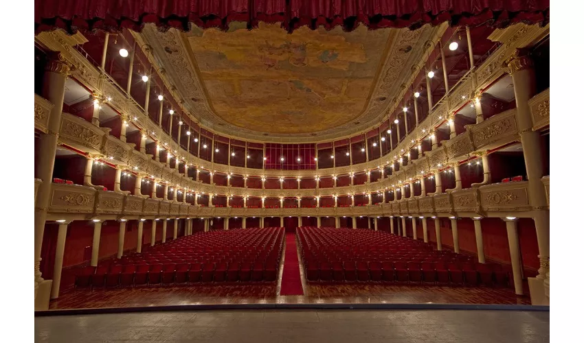 Platea Teatro Politeama Greco