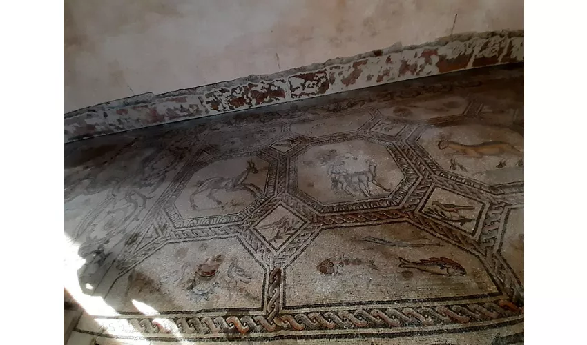 The Paleochristian Basilica of Aquileia