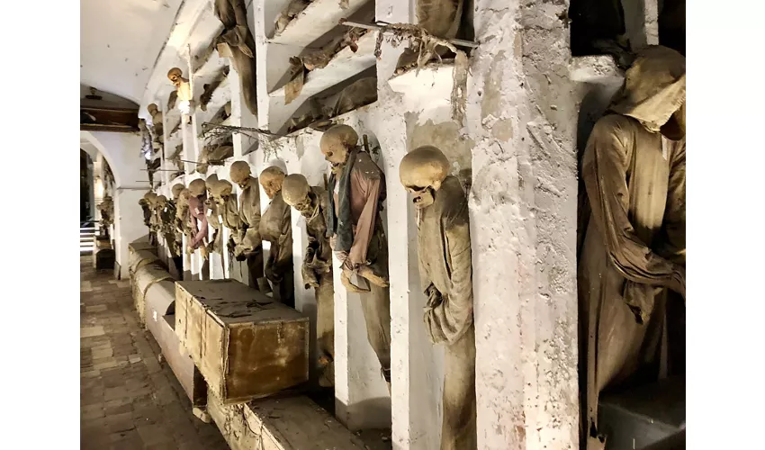 Catacombes des Capucins