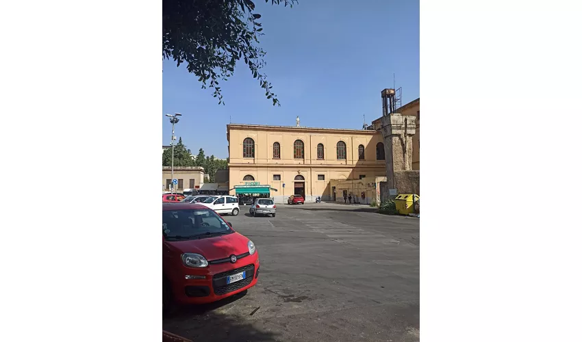 Catacombes des Capucins