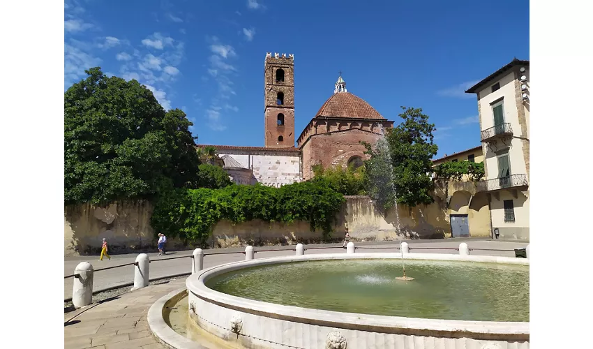 Catedral de San Martín