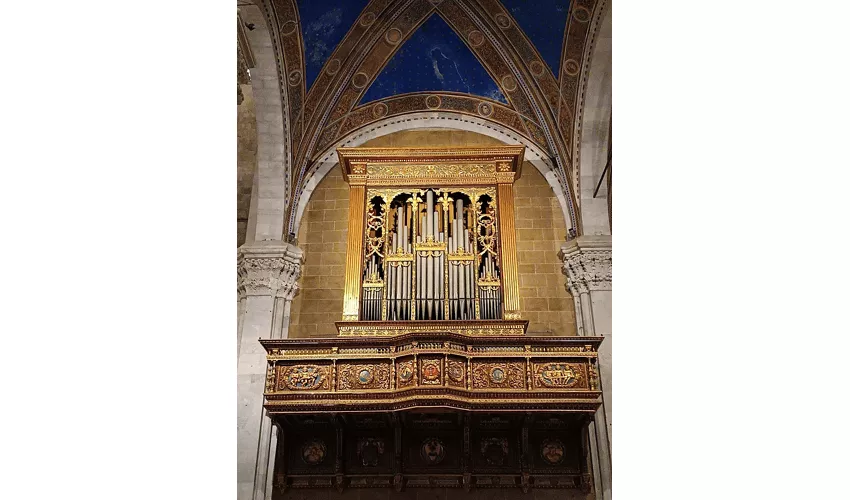 Cathédrale San Martino