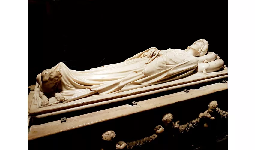 Catedral de São Martinho