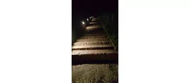 La Via Angelica