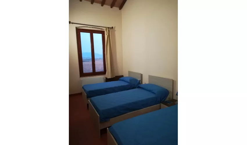 dogana del capannone