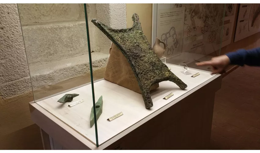 Museo CivicoArcheologico Alle Clarisse