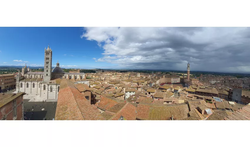 Sinagoga de Siena