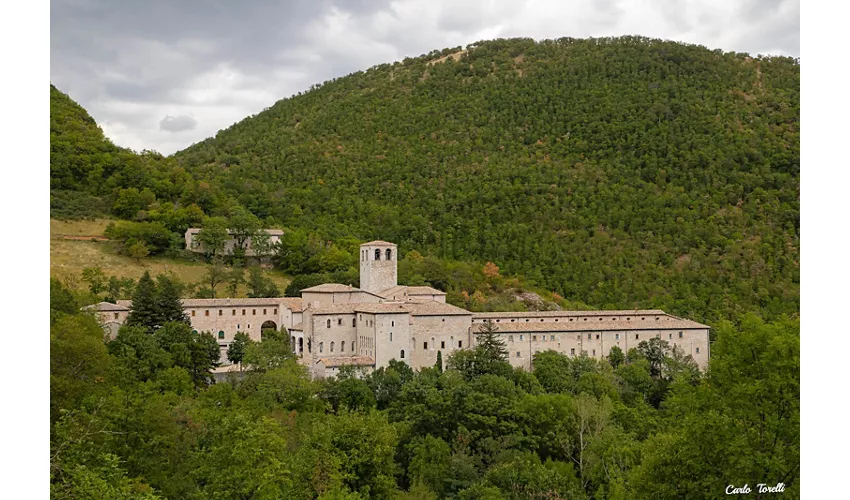 Mosteiro de Fonte Avellana, Scriptorium.