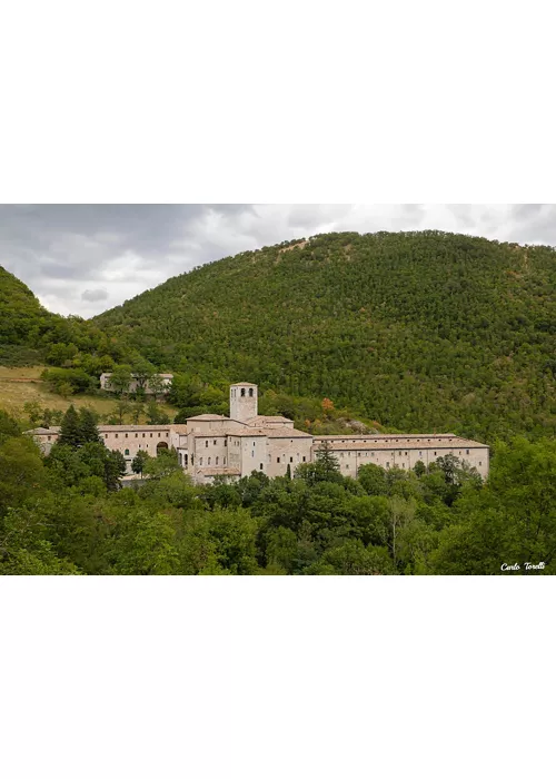 Mosteiro de Fonte Avellana, Scriptorium.