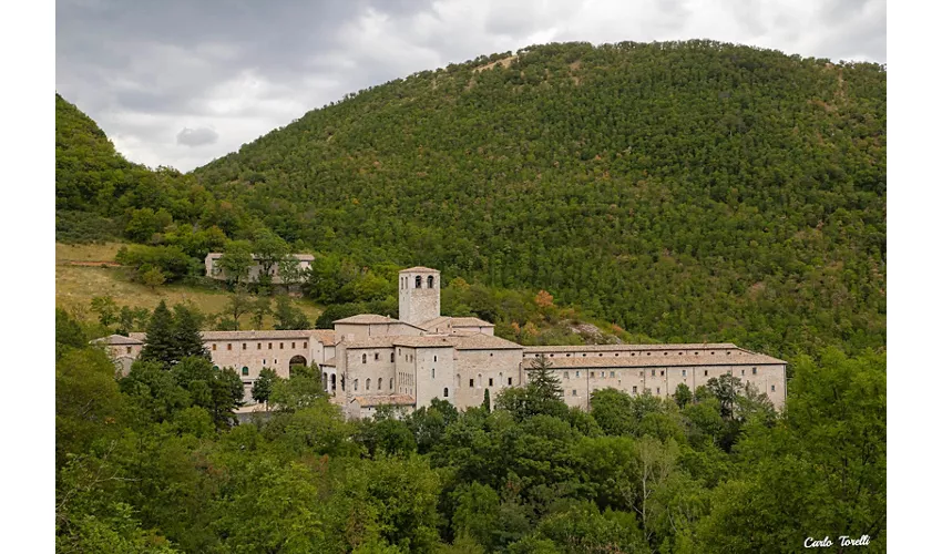 Monastero di Fonte Avellana, Scriptorium.