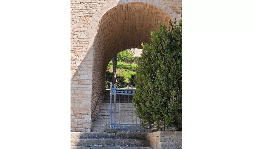 Monasterio de Fonte Avellana| Scriptorium.