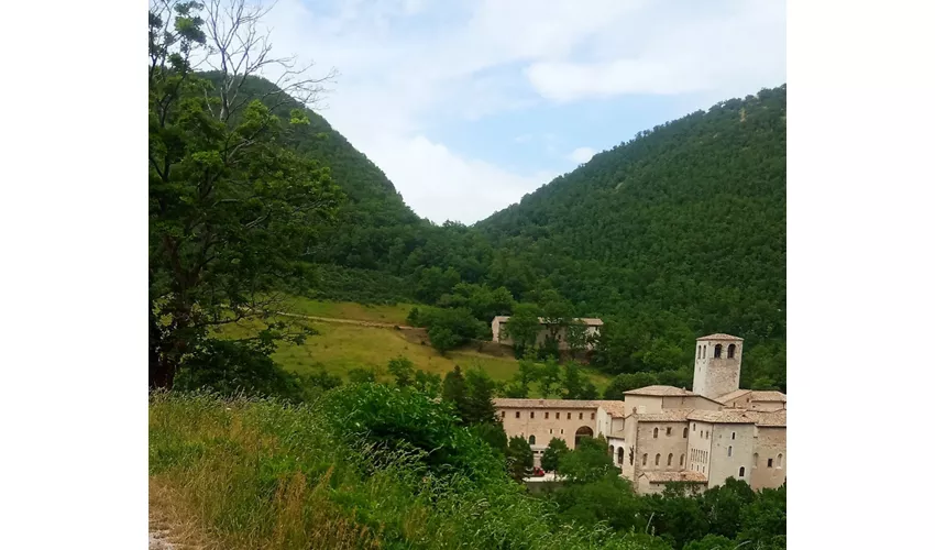 Monastero di Fonte Avellana, Scriptorium.