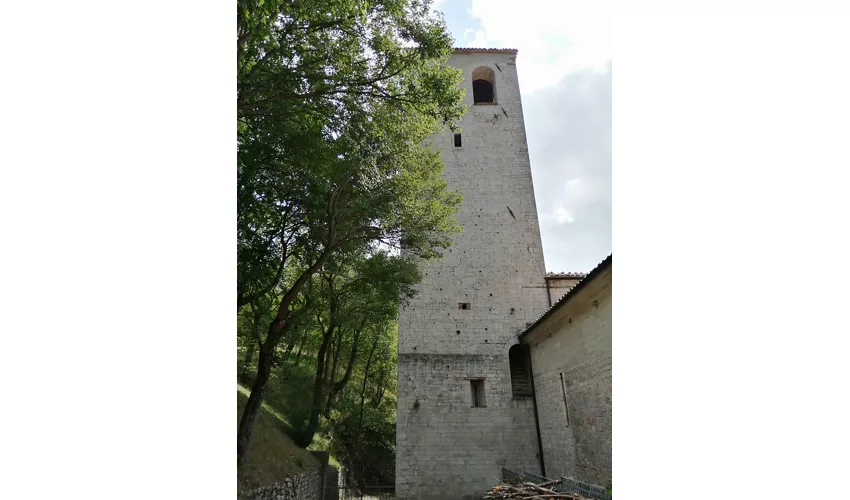 Monastero di Fonte Avellana, Scriptorium.