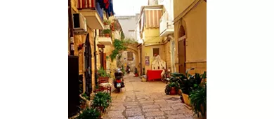 Former Convent of San Francesco della Scarpa