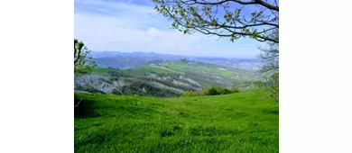 Canossa National Museum