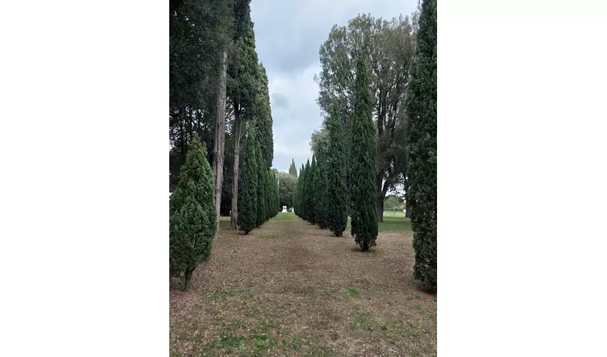 Mausoleo de Teodorico