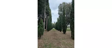 Mausoleo de Teodorico