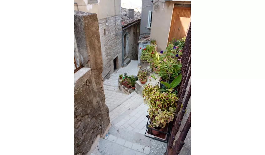 Castello di Capua