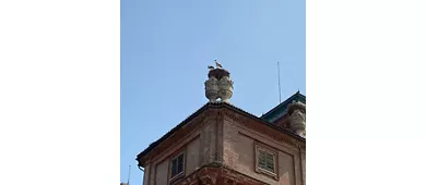 Château royal de Racconigi