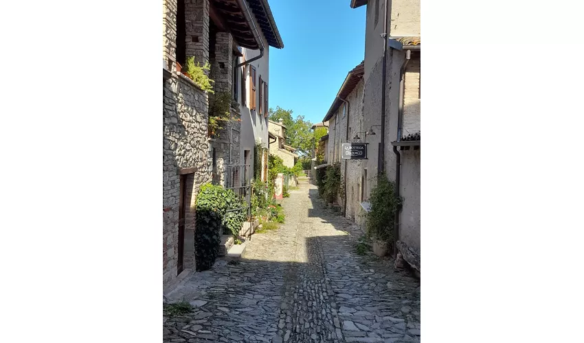 Château de Torrechiara