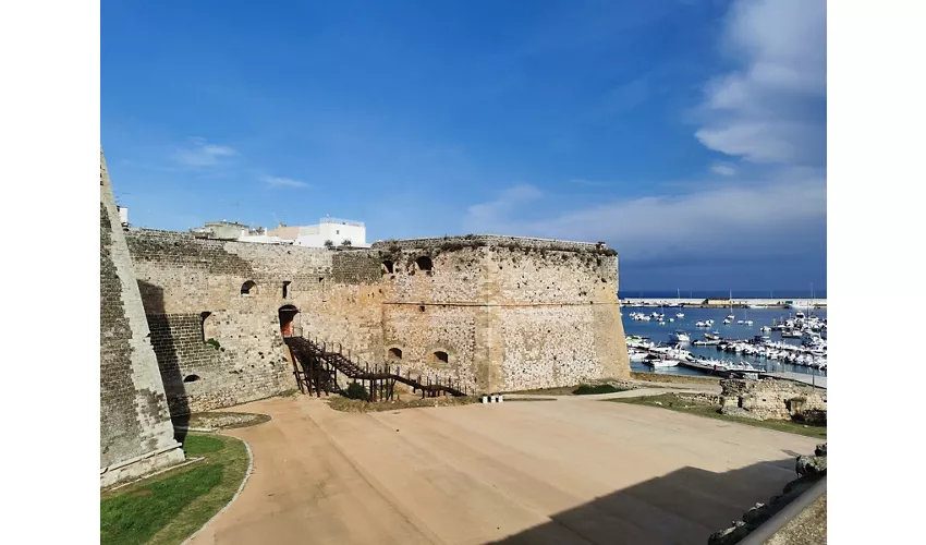 Château aragonais