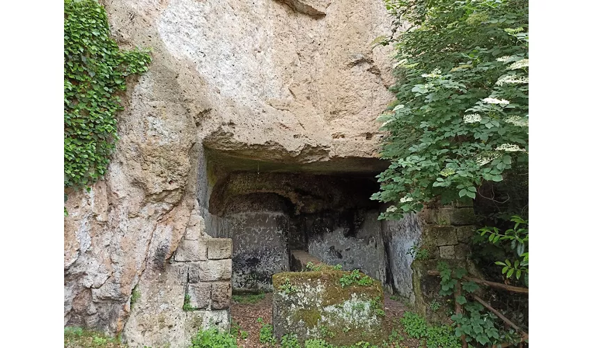 Anfiteatro romano