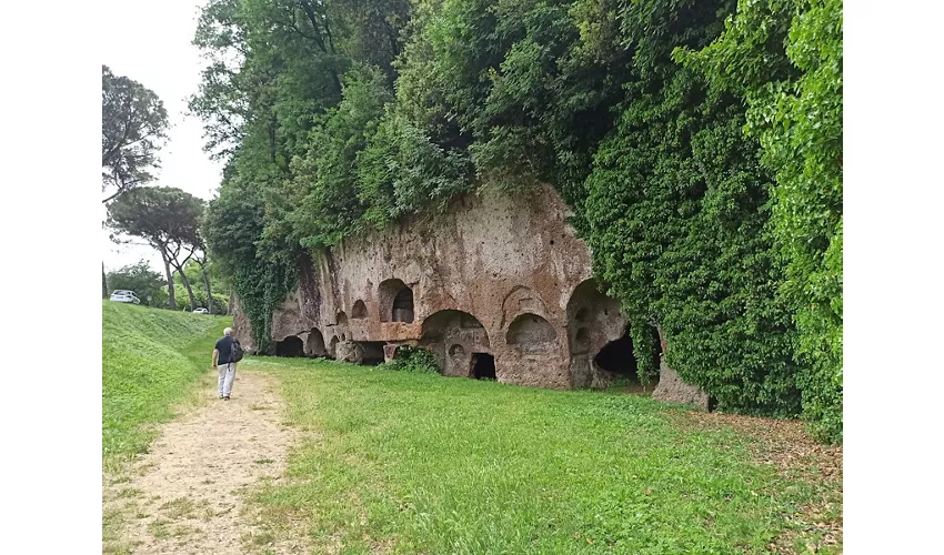Anfiteatro romano