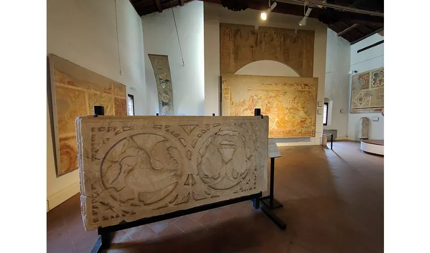 Museo Pomposiano