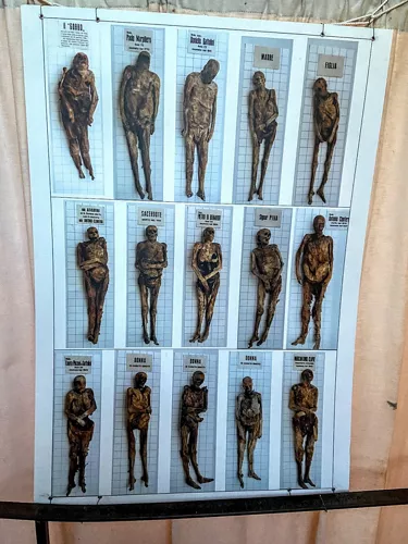 The Mummies of Venzone