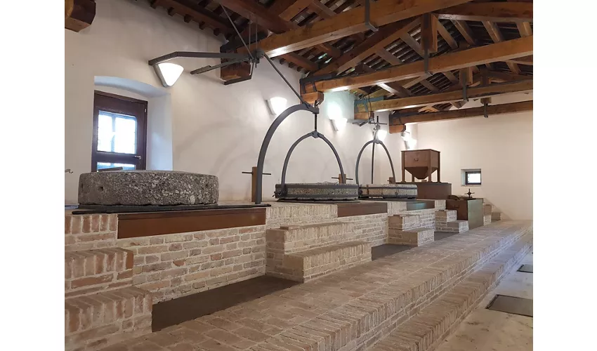 Musées de la Cartiera Papale