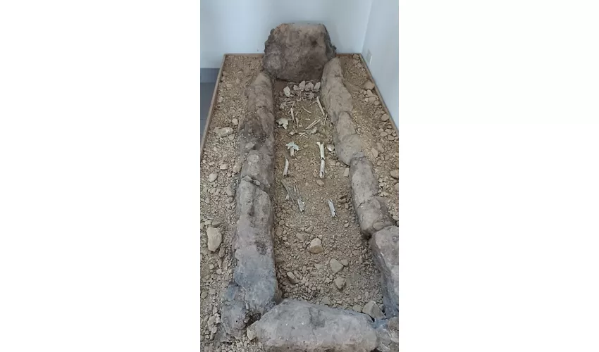 Musée archéologique de l'ancienne Allifae