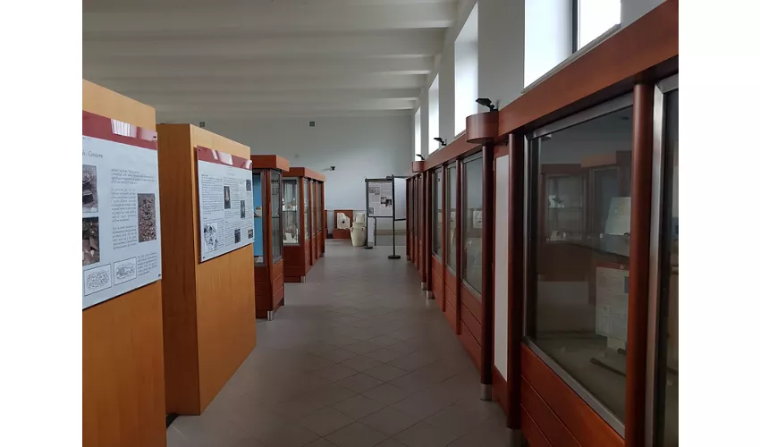 Museu Arqueológico da Antiga Allifae