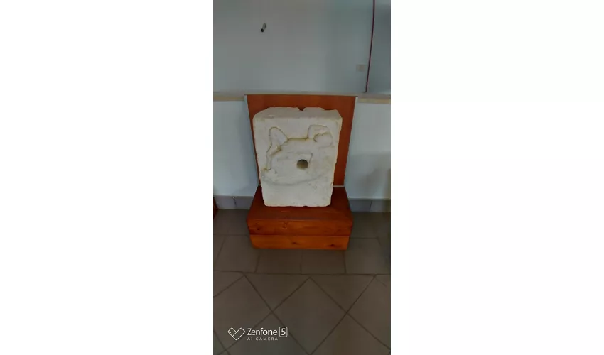 Museo Archeologico dell'Antica Allifae