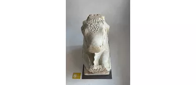Museo Archeologico dei Campi Flegrei
