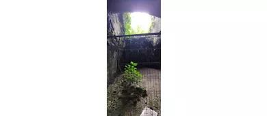 Cueva de la Dragonara