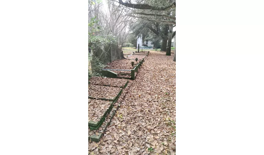 Cementerio Judío