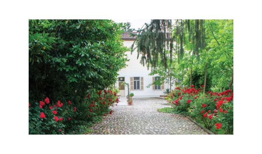 Ristorante Massimo