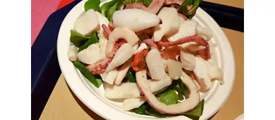 Monegato
