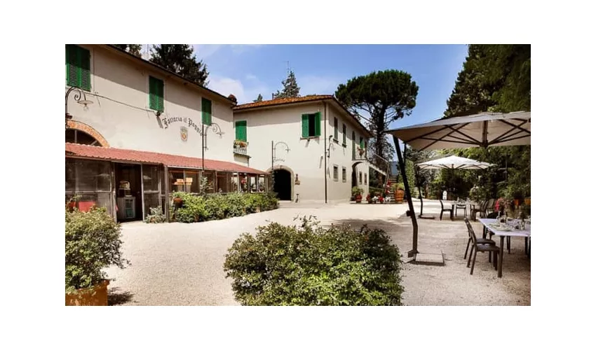 Fattoria Il Poggio