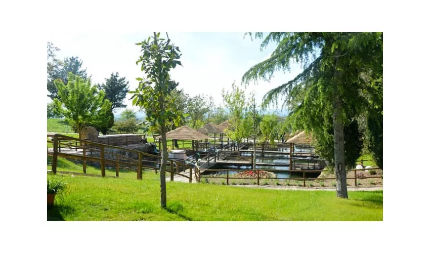 La Collina Agriturismo