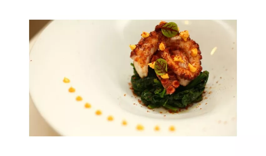 Ristorante Cibo Container