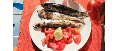 Agriturismo Ruralia