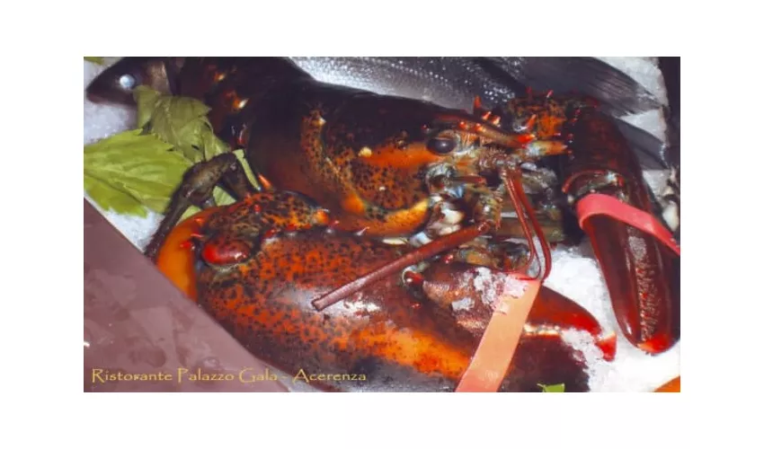 Ristorante Pizzeria Palazzo Gala