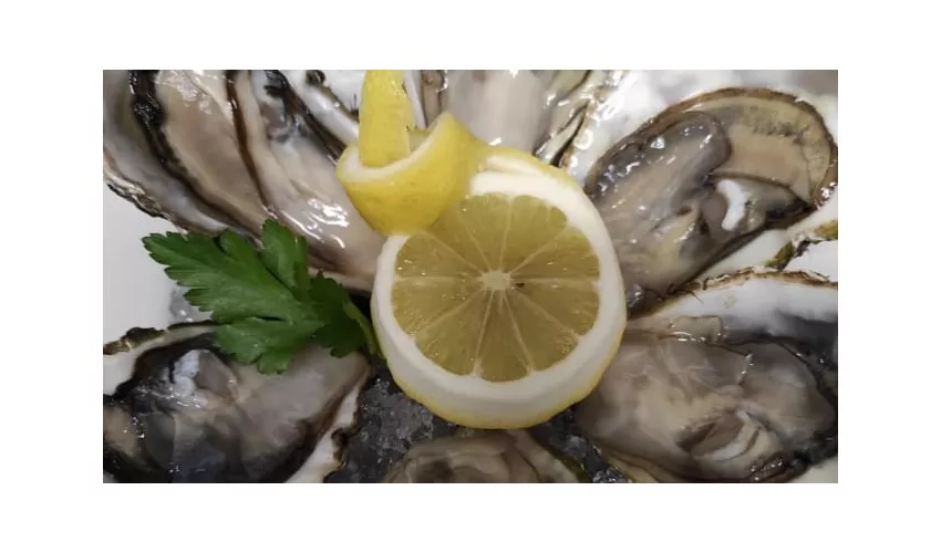 Ristorante Pizzeria Palazzo Gala