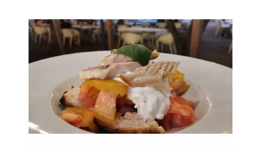 JODOK pizza e cucina