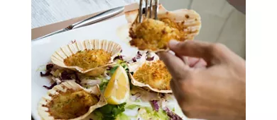 Noi Pesce