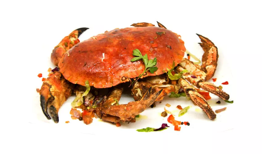 Noi Pesce