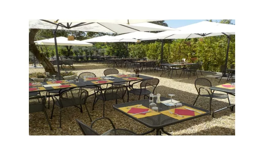 Agriturismo Montereggi - Agri ristorante